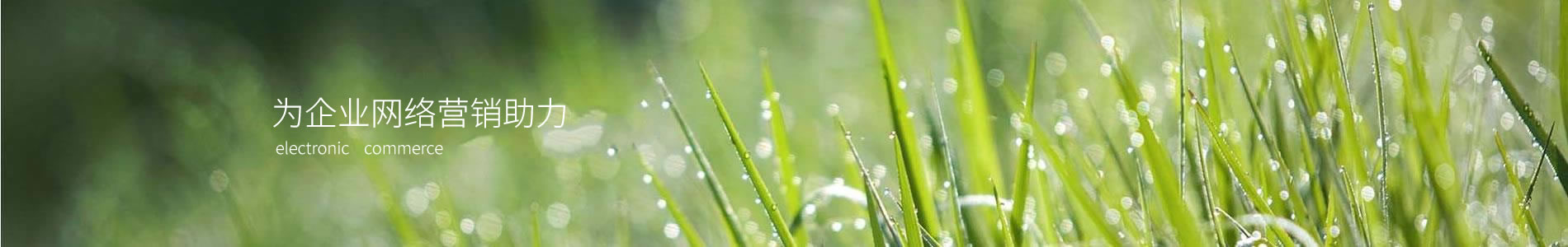 񻷽ڻ޹˾